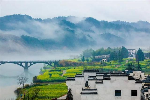 赏花旅游搜索热度全国第一!就在江西|婺源|上饶市|江西省_新浪新闻