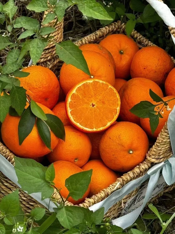 百色市田东县农产品出口直通车首发|农产品|百色市|俄罗斯_新浪新闻