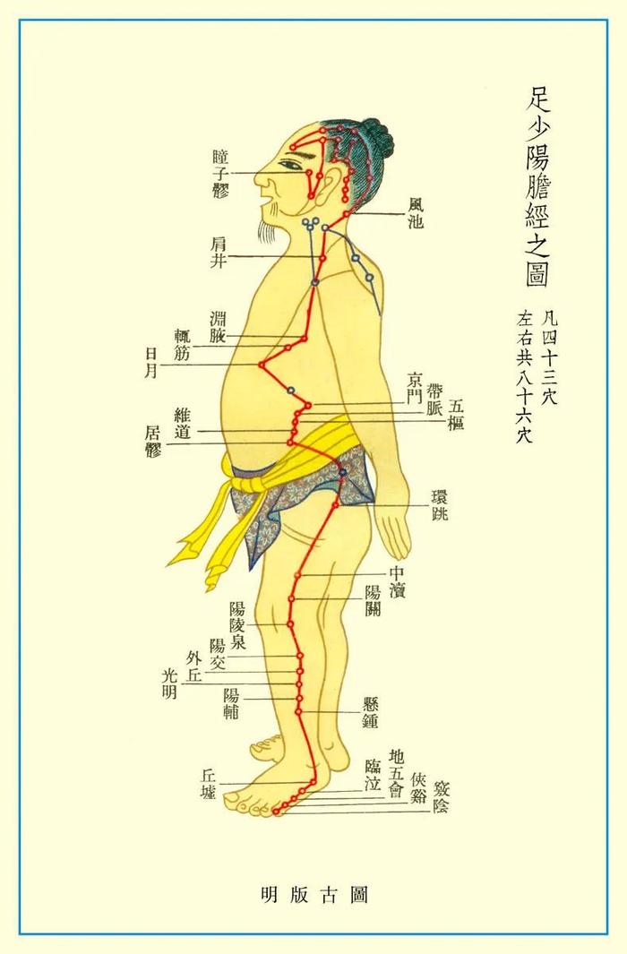 腋下胆经的准确位置图图片