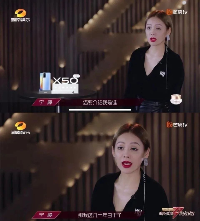 （图/《乘风破浪的姐姐》）