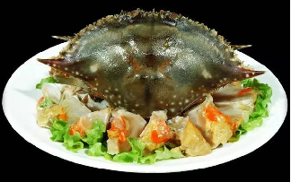 潍坊人人人人滨人人人人海人人人人|潍坊市_新浪新闻