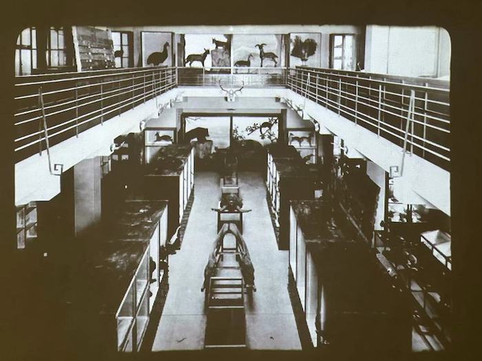 历史上的亚洲文会大楼图片，在外滩美术馆3楼以幻灯片的形式播放。