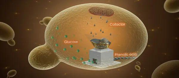 新知细胞工厂万物皆可造揭秘神奇的微生物打工仔