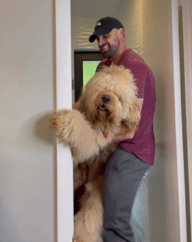 铲屎官每次都要抱着柴犬给它洗澡网友被萌化看得出来狗子很享受