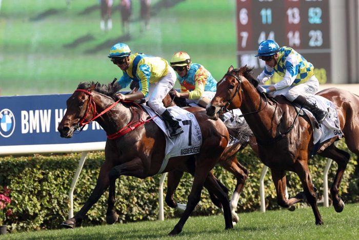 这项大赛只限四岁马匹角逐,练马师,骑师及马主都极为重视,积极为旗下