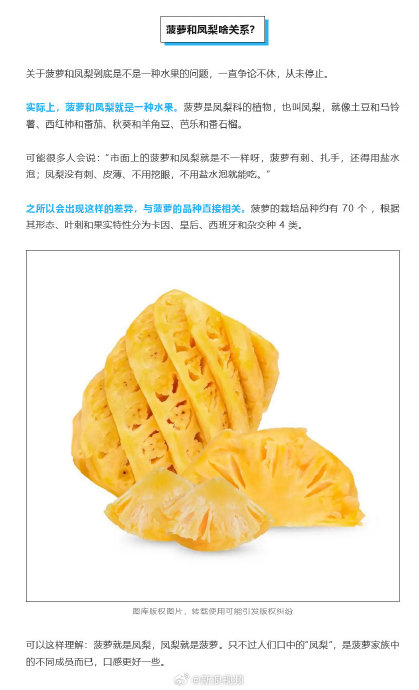 吃菠萝不扎嘴的方法不允许你不知道(不是泡盐水)|菠萝_新浪新闻