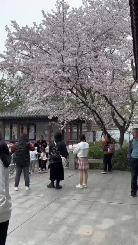 武汉东湖风景区我拍照呢好不好看