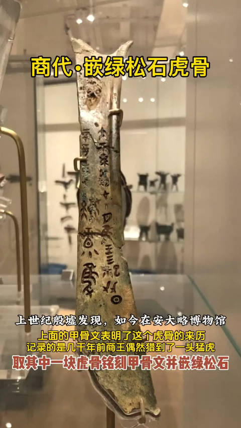 商代嵌绿松石虎骨这件特别的虎骨可以看出古代先民的尚武之风