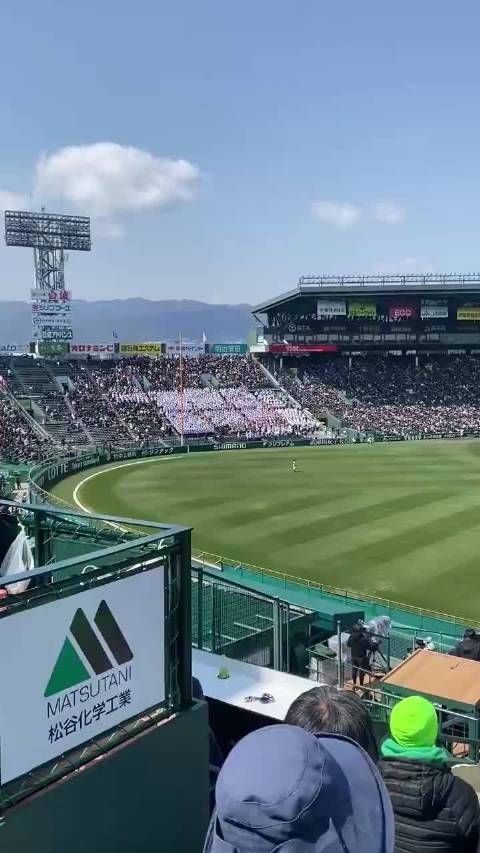 趣闻今年的春季甲子园