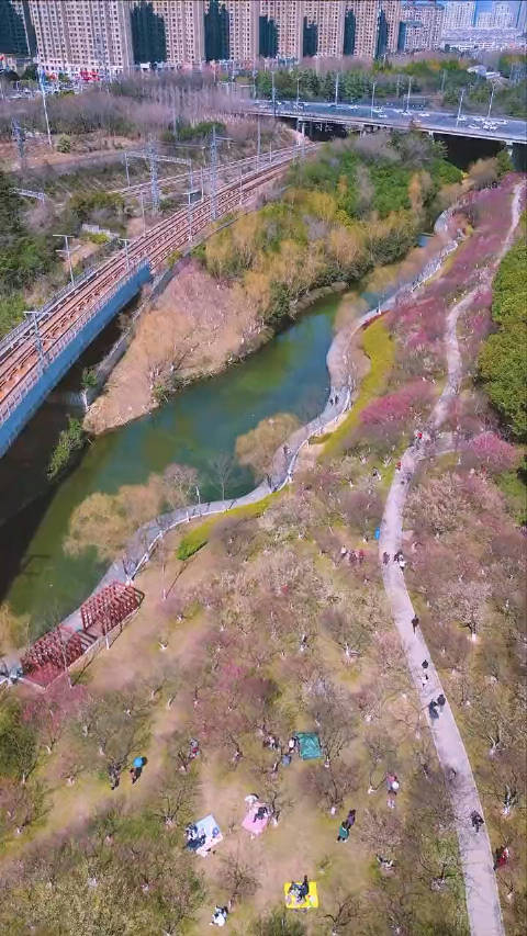 合肥匡河公园每年这个时候去看开往春天的列车