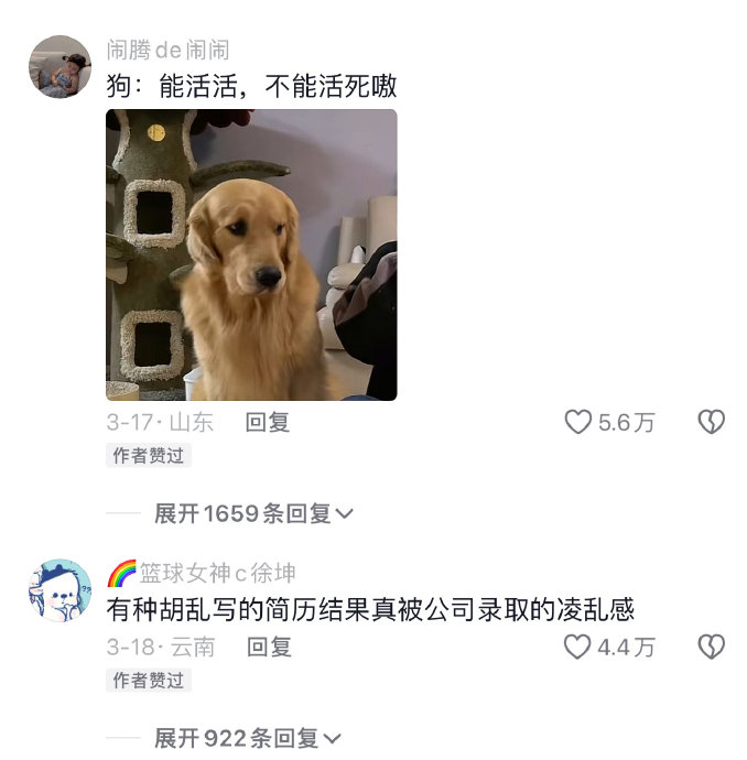 狗狗有种第一天上岗的慌乱感|狗_新浪新闻