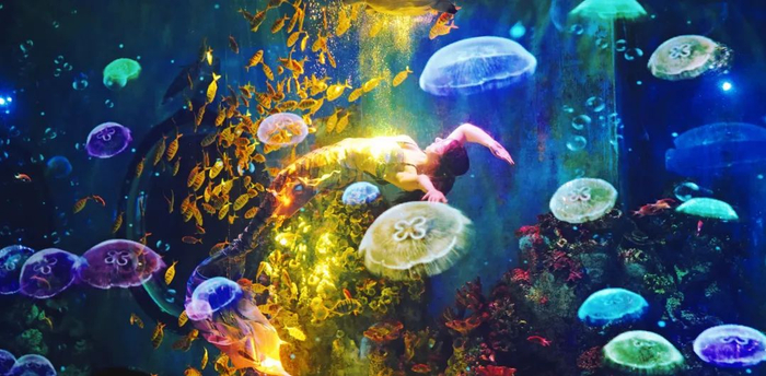 襄阳海洋馆来了!67省内最大……|襄阳|汉江|海洋馆_新浪新闻