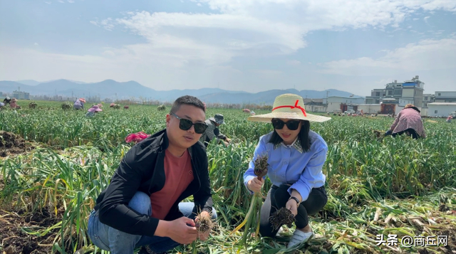 中农七朵创始人杨梦婷广西龙胜优秀妇女典型事迹|疫情|杨梦婷|龙胜县