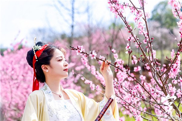 灰汤桃花节紫龙湾泉暖花香上演桃花人体彩绘秀