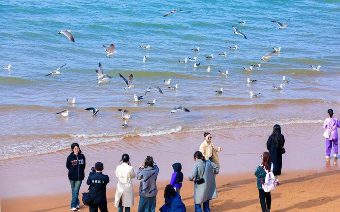 威海国际海水浴场赶海图片