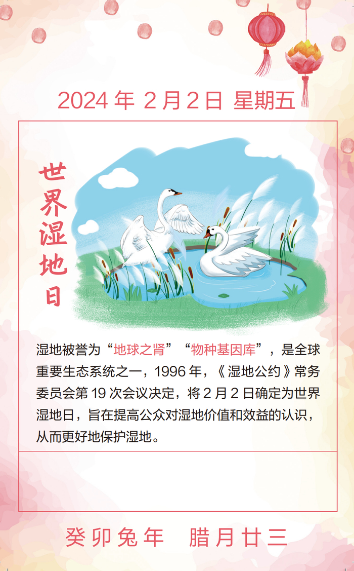 古往今来人类逐水而居文明伴水而生可以说湿地与生命的繁衍生息密切