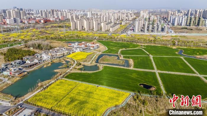 合肥瑶海:老工业区更新"颜值" 城市向美加速发展|合肥市_新浪新闻