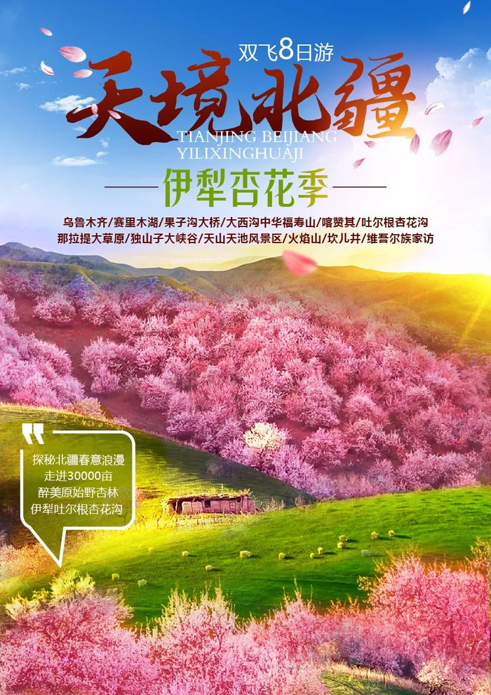 第一财经广播邀您去旅行|北疆伊犁杏花季,我在杏花春色里,邀您遇见醉