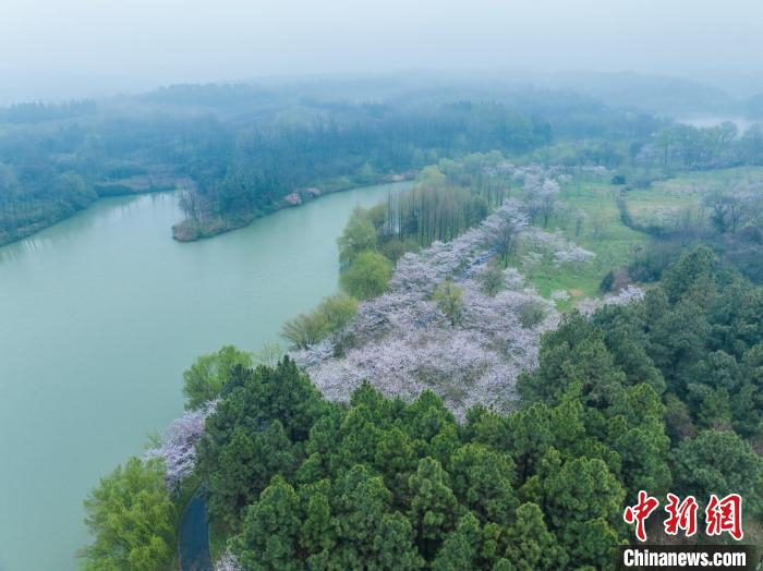 安徽池州烟雨蒙蒙杏花村