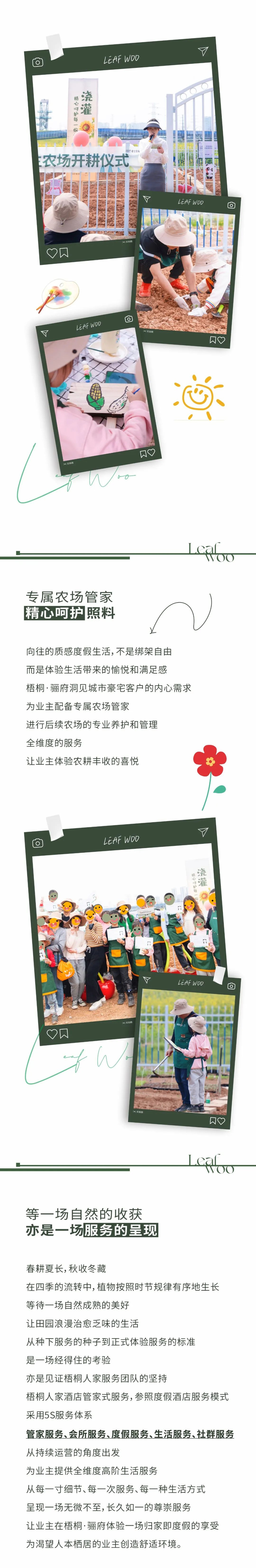 位置就在······|郑阳|丁洋_新浪新闻