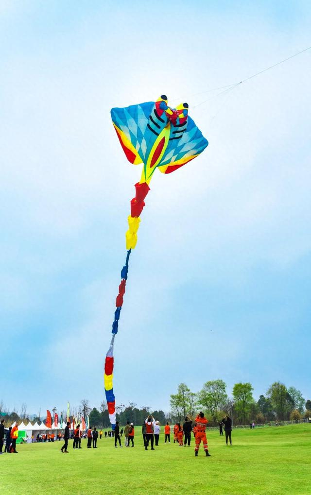 气球|放风筝|高架_新浪新闻