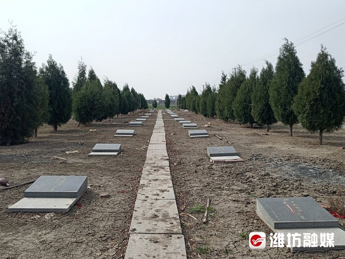 绿色公墓 让文明祭祀成风尚|公墓|绿色|风尚_新浪新闻