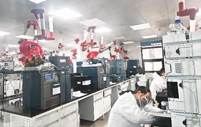 位于彭州天府中药城的新绿色药业科技研发中心，针对川芎等中药材进行了一系列科技研发工作。本报记者 熊 建摄