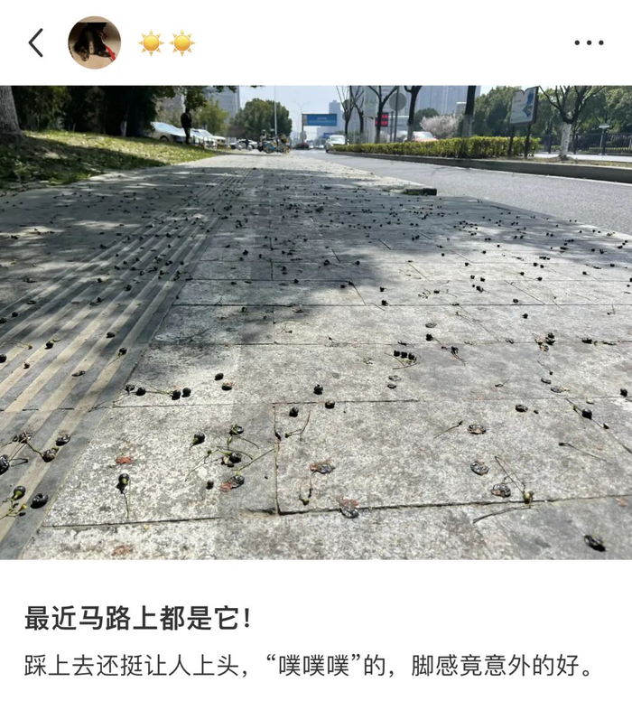 南通路上的爆浆"黑珍珠"|衣服|黑珍珠_新浪新闻
