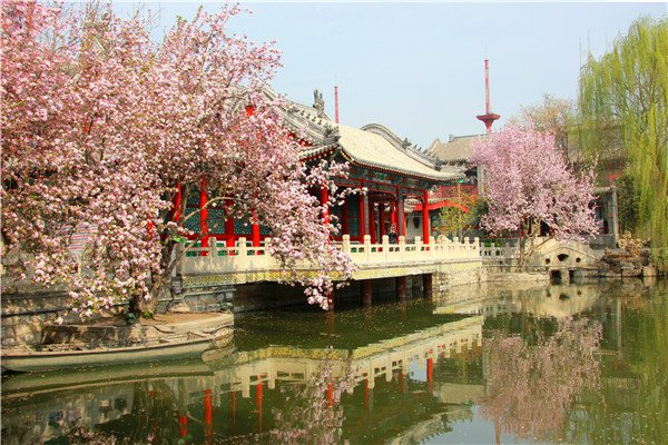 保定古莲花池:春光无限好,赏花正当时|园林|古莲花池|春光_新浪新闻