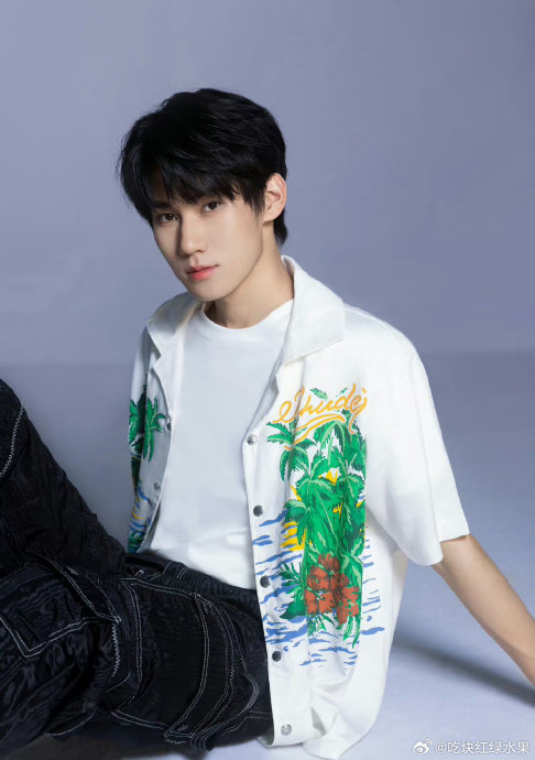 张真源 贺峻霖粉丝线下应援图来了 有被哪一家震撼到|贺峻霖|张真源