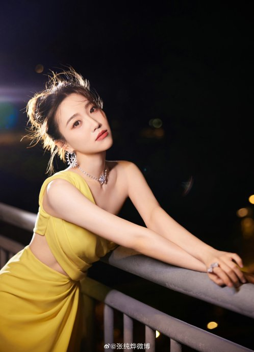 张纯烨,自己人生的大女主 她的主持风格和她本人的性格超级像…|张