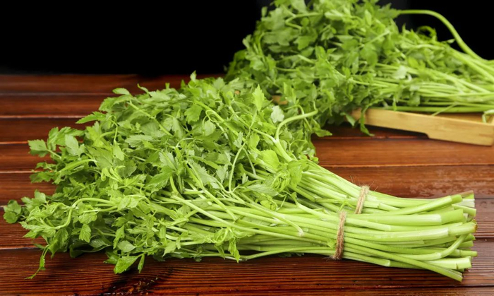 图库版权图片，转载使用可能引发版权纠纷