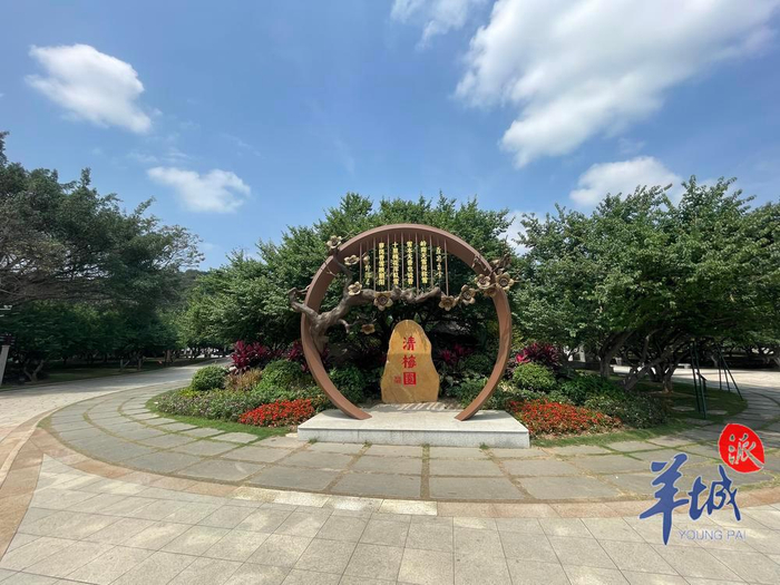 有人擅自上树摘果广州萝岗香雪公园已制止将开展青梅共
