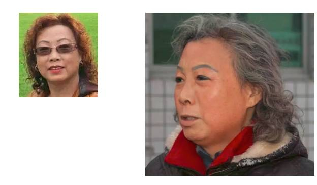 救助之前的高英开过厂,做过外贸,住上了别墅,把孩子也送到澳洲去读书