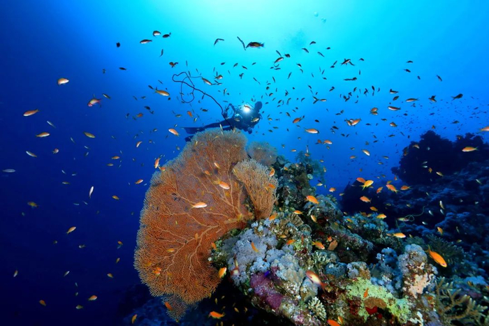 用镜头寻找水下中国之美中国国家地理大讲堂直播预告