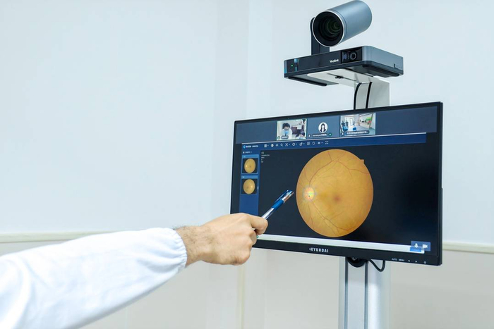 "北京大学教授,眼科专家王乐今告诉记者,其背后的原理是,通过观察眼底