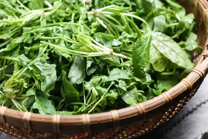 图库版权图片，转载使用可能引发版权纠纷