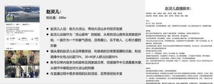 图为幕后团队为“赵灵儿”定制的“人设”、直播脚本。（昭觉县公安局 供图）