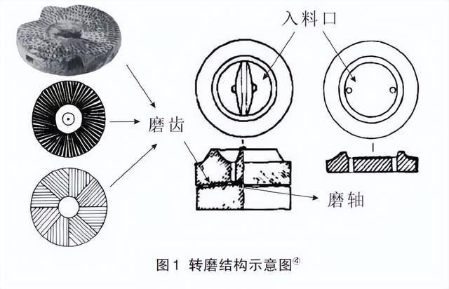 植物考古学家赵志军:追寻"三星堆人吃什么?",万年农业起源"浮"出