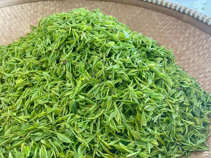 开采阶段今年的明前绿杨春目前还处于记者走访扬州茶叶市场了解到日前
