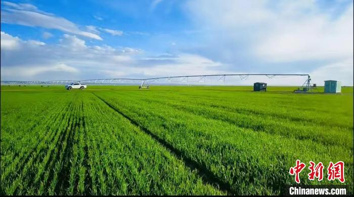 青海德令哈驱盐化碱提高盐碱地利用水平