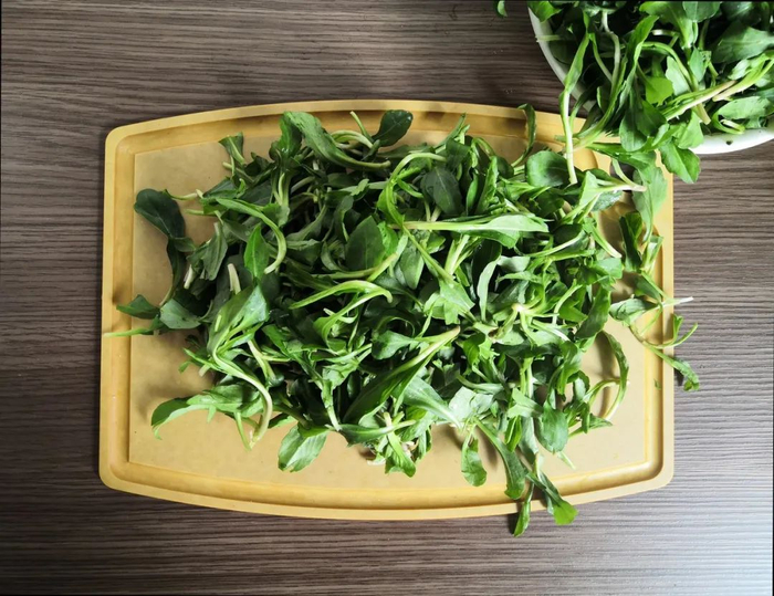 图库版权图片，转载使用可能引发版权纠纷