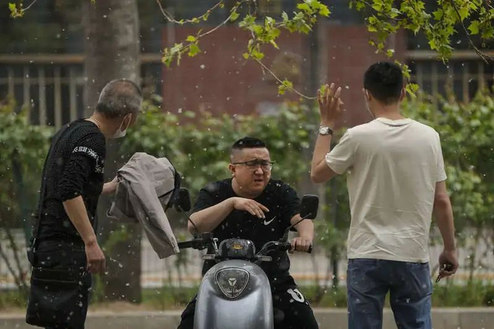 春风十里,又过敏|过敏|北京_新浪新闻