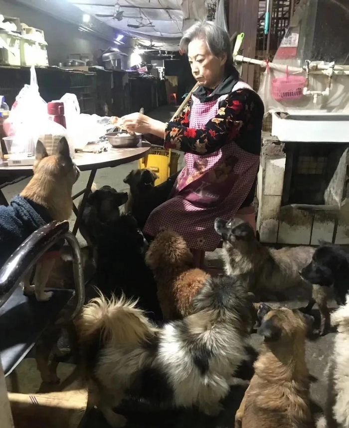 "听着红姐诉说着高英阿姨的故事,我们也挺难过的,都2024年了,为什么