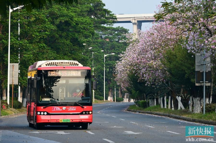 35路公交线,白云路站,广大正门站下车,到达白云路以及广州大学城外环
