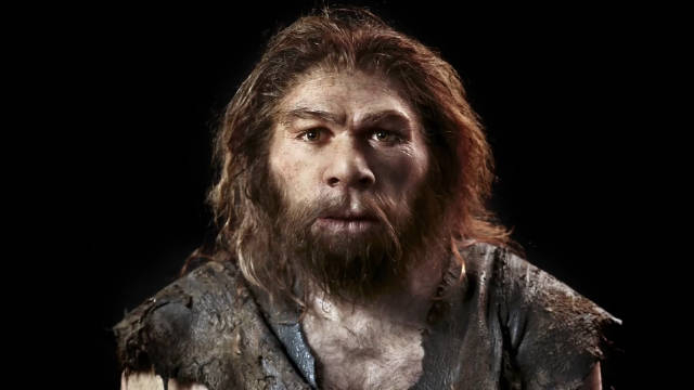 人类与尼安德特人的进化联系howhumansevolvedfromneanderthals微博