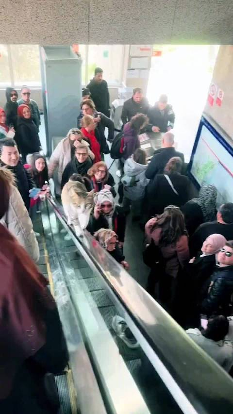 猫在电梯扶手向上走引来路人围观拍照marsmkw