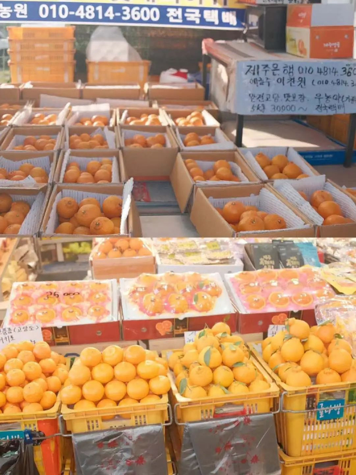 （图/受访者提供）