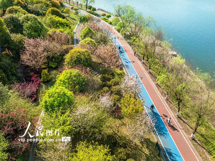重庆城市公园春意浓