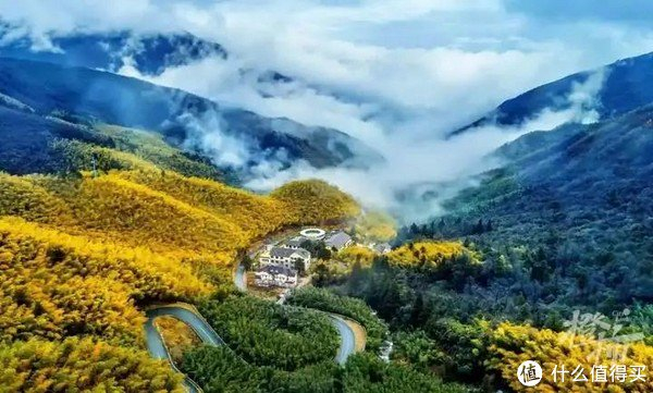 临安深度旅游：这十二个不可错过的绝美景点你都打卡了吗？|临安市|黄山市|浙江省|杭州市|安徽省_新浪新闻